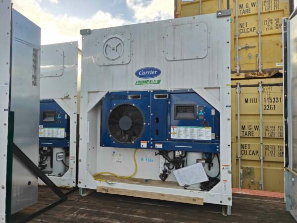 CONT-REEF-001 - kuvat 4